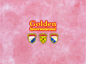One year period to join a special training 170 classes , join and enjoy one time performance of dance, or poetry, or drama play TV with Chinese students etc, to get one student perform DVD, to help  every adult student to enjoy. Golden Int'l Amateur Subject, https://www.goldendancing.com/EN/Sb.asp?tid=28
